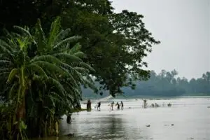 Michigan and Ohio flood insurance claims